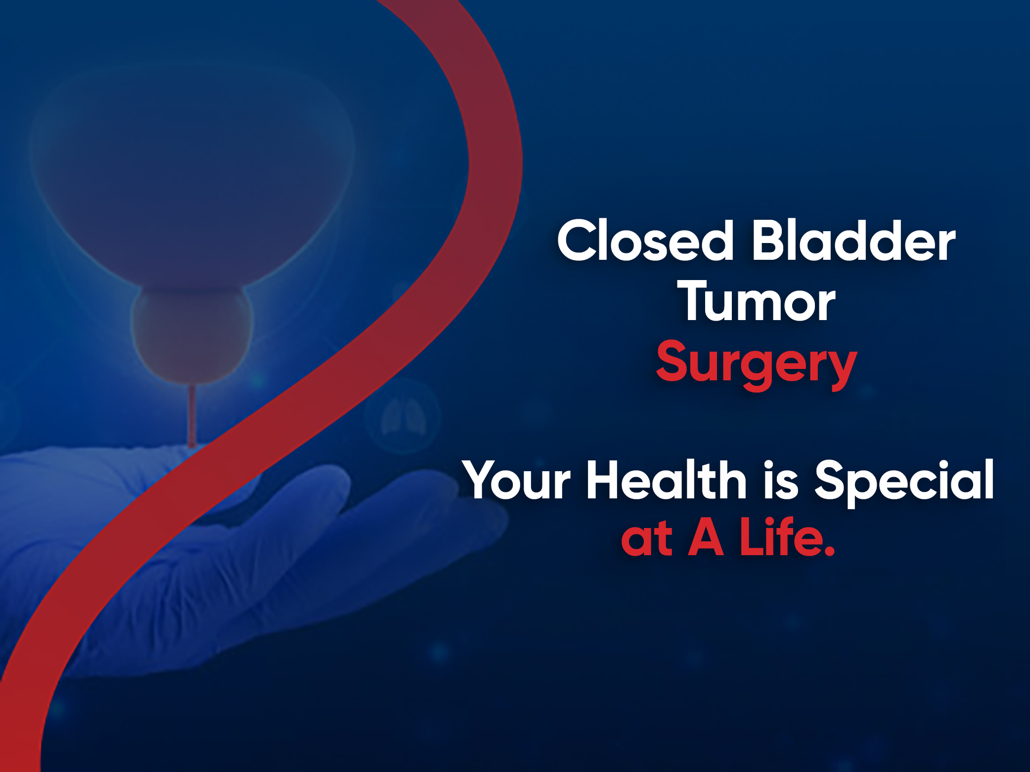 Laparoscopic Bladder Tumor Surgery